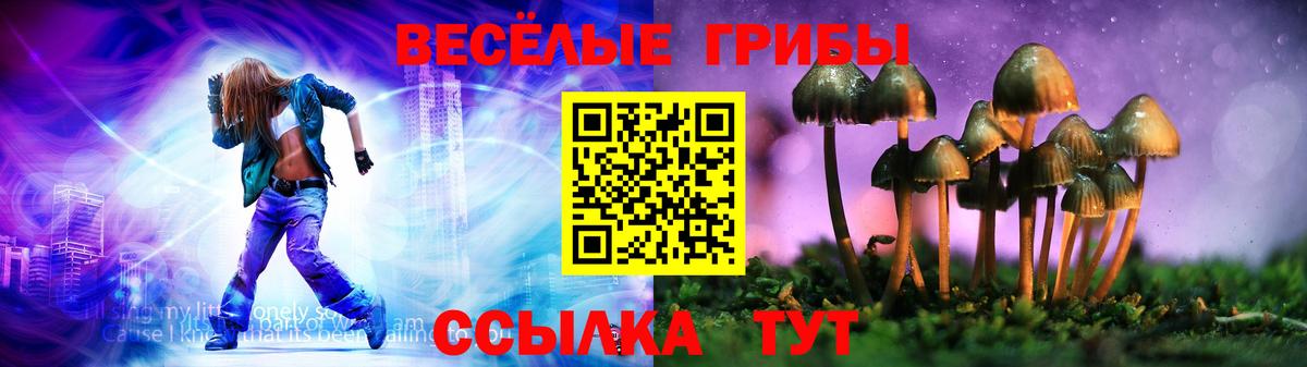 Псилоцибиновые грибы Magic Shrooms Знаменск