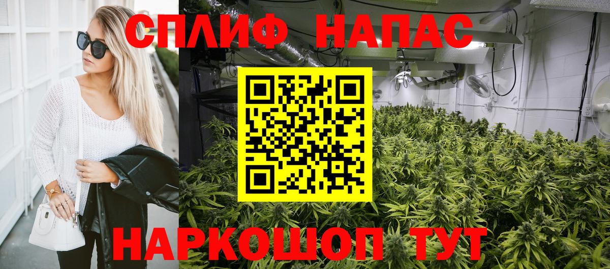 Каннабис марихуана Знаменск